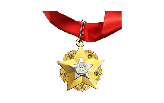 Niestandardowy medal wojskowy w podwójnym poszyciu z kamieniem szlachetnym